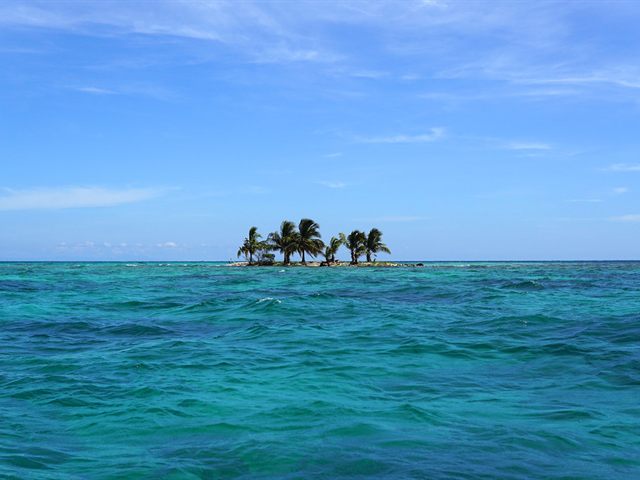 A palm-covered island in the San Blas archipelago